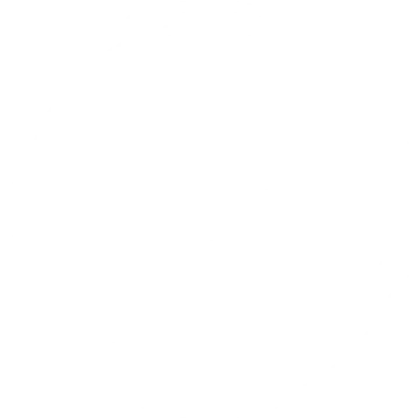 True FM Logo