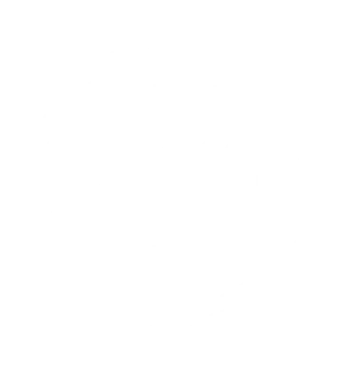 True FM Logo